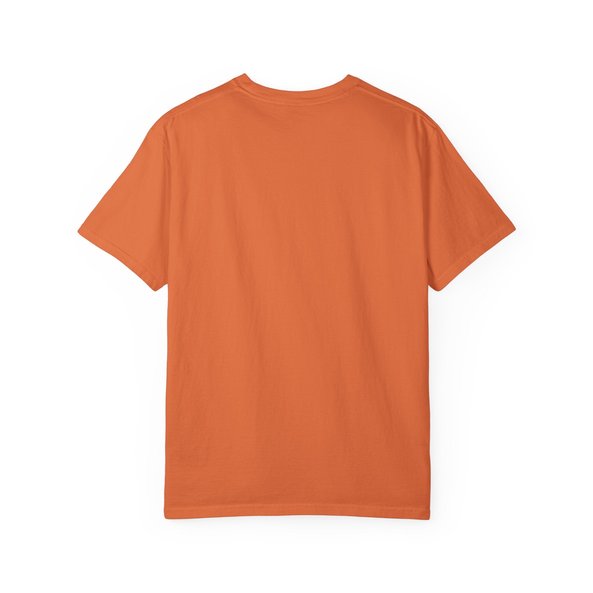 Cat Lover T-Shirt - Two Cats Enjoying Mountain Stream